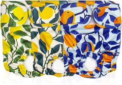 Pet Magasin Washable Female Dog Diapers, Botanical Fruit, 3 count, Medium