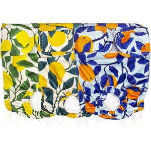 Pet Magasin Washable Female Dog Diapers, Botanical Fruit, 3 count, X-Small