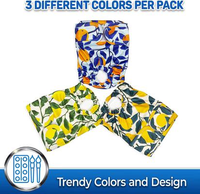 Show full view: Pet Magasin Washable Female Dog Diapers, Botanical Fruit, 3 count, X-Small slide 4 of 7