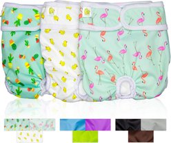 Pet Magasin Washable Female Dog Diapers, Print, Large: 16 to 24-in waist, 3 count