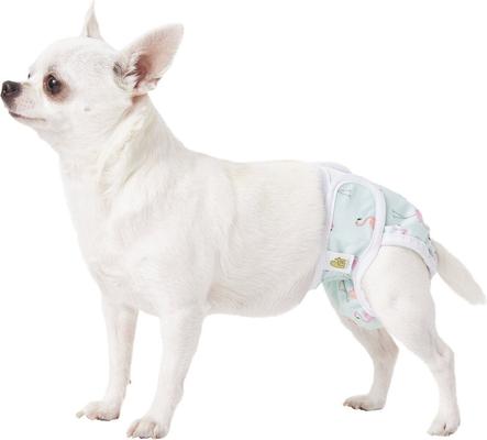 Show full view: Pet Magasin Washable Female Dog Diapers, Print, X-Small: 10 to 12-in waist, 3 count slide 9 of 11