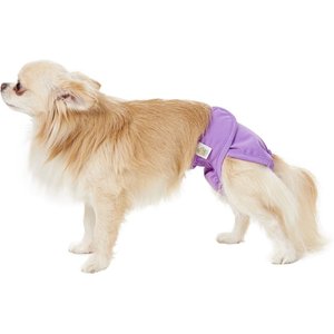 Pet Magasin Washable Female Dog Diapers, Solid, Large: 16 to 24-in waist, 3 count