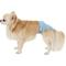 Show in main carousel: Pet Magasin Washable Female Dog Diapers, Solid, Large: 16 to 24-in waist, 3 count slide 9 of 11