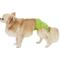 Show in main carousel: Pet Magasin Washable Female Dog Diapers, Solid, Medium: 14 to 20-in waist, 3 count slide 8 of 11