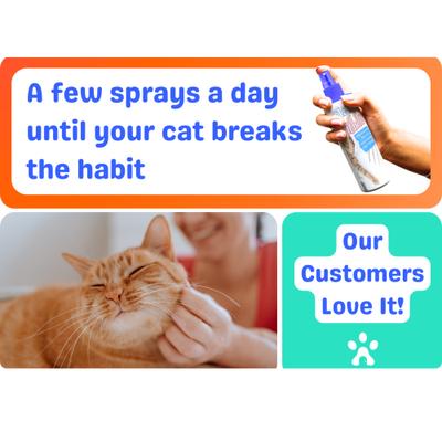 Show full view: Pet MasterMind Claw Withdraw Scratch Deterrent Cat Spray, 4-fl oz bottle slide 4 of 10