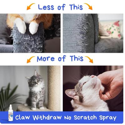 Show full view: Pet MasterMind Claw Withdraw Scratch Deterrent Cat Spray, 8-fl oz bottle slide 7 of 10