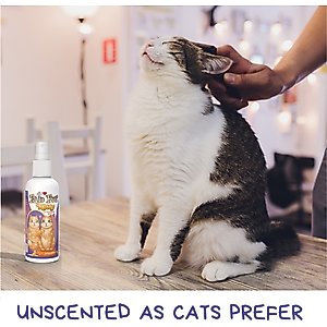 Pet MasterMind Fab Fur Kitty Detangling Cat Spray, 8-fl oz bottle