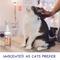 Show in main carousel: Pet MasterMind Fab Fur Kitty Detangling Cat Spray, 8-fl oz bottle slide 6 of 8