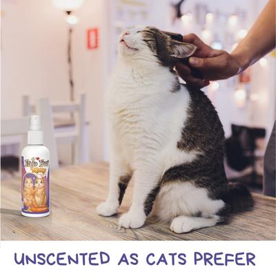 Show full view: Pet MasterMind Fab Fur Kitty Detangling Cat Spray, 8-fl oz bottle slide 6 of 8