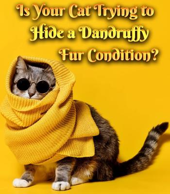 Show full view: Pet MasterMind Fluffy Feline Cat Dandruff Care Spray, 8-fl oz bottle slide 3 of 8