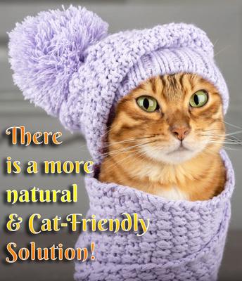 Show full view: Pet MasterMind Fluffy Feline Cat Dandruff Care Spray, 8-fl oz bottle slide 4 of 8