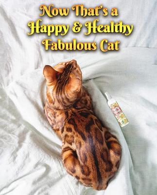 Show full view: Pet MasterMind Fluffy Feline Cat Dandruff Care Spray, 8-fl oz bottle slide 5 of 8