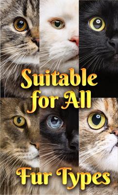 Show full view: Pet MasterMind Fluffy Feline Cat Dandruff Care Spray, 8-fl oz bottle slide 6 of 8