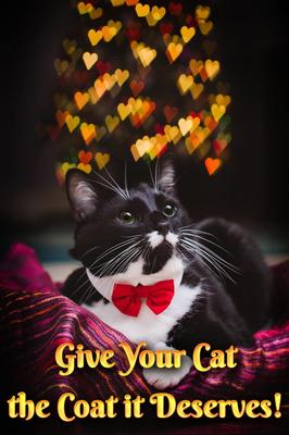 Show full view: Pet MasterMind Fluffy Feline Cat Dandruff Care Spray, 8-fl oz bottle slide 7 of 8