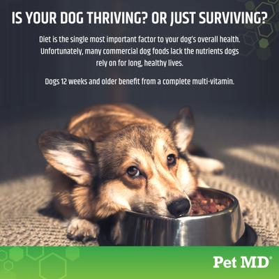 Show full view: Pet MD 5-in-1 Multivitamin Chews Dog Supplement, 120 count slide 6 of 7