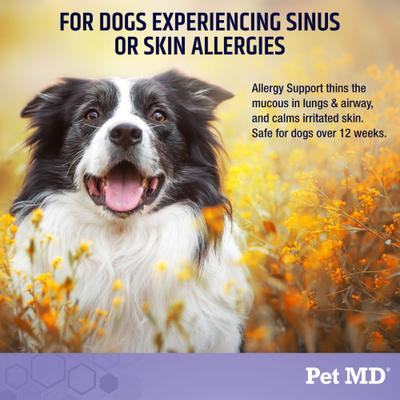 Show full view: Pet MD Allergy Support Dog Supplement, 60 count slide 4 of 7