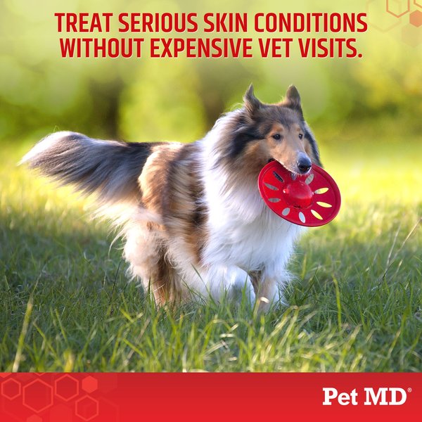 Show full view: Pet MD Antiseptic & Antifungal Medicated Shampoo, 8-oz bottle slide 5 of 7