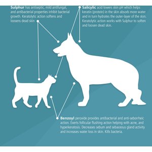 Pet MD Antiseptic & Antifungal Medicated Spray for Dogs, Cats & Horses, 8-oz bottle