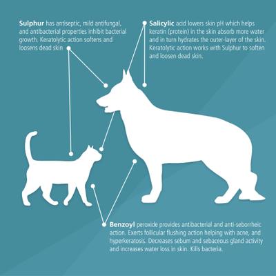 Show full view: Pet MD Antiseptic & Antifungal Medicated Spray for Dogs, Cats & Horses, 8-oz bottle slide 5 of 9