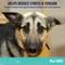 Show in main carousel: Pet MD Calming Chews Enhanced with Melatonin & Ginger Supplement for Dogs, 60 count slide 4 of 8