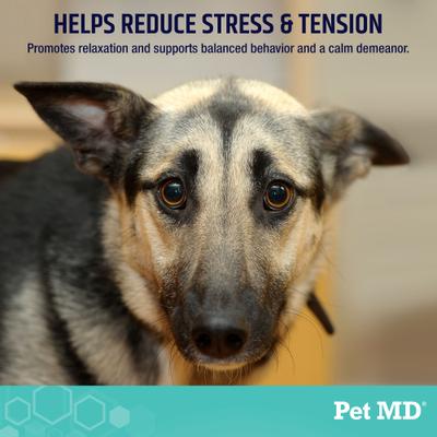 Show full view: Pet MD Calming Chews Enhanced with Melatonin & Ginger Supplement for Dogs, 60 count slide 4 of 8