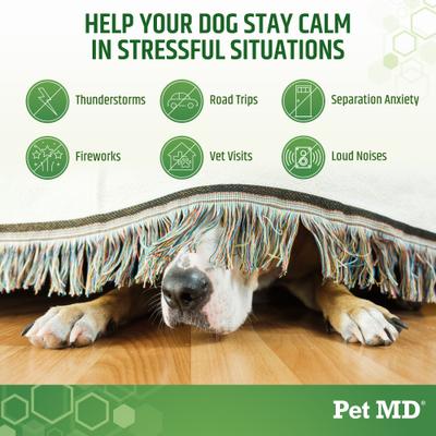 Show full view: Pet MD Calming Hemp Soft Chew Calming Supplement for Dogs, 120 count slide 5 of 9