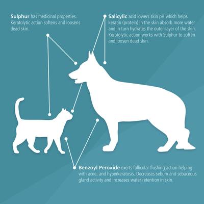 Show full view: Pet MD Chlorhexidine Antiseptic Dog & Cat Wipes, 70 count slide 6 of 9