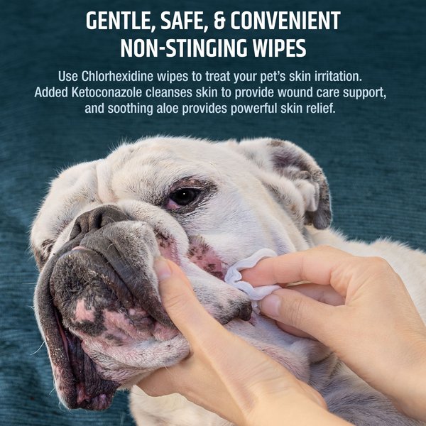 Show full view: Pet MD Chlorhexidine Antiseptic Wipes for Dogs & Cats, 50 count slide 2 of 9