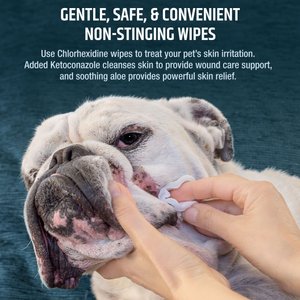 Pet MD Chlorhexidine Dog & Cat Wipes, 100 Count