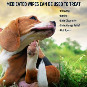 Pet MD Chlorhexidine Dog & Cat Wipes, 100 Count