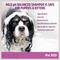 Show in main carousel: Pet MD EFA Deodorizing & Hypoallergenic Shampoo for Cats & Dogs, 16-fl oz bottle slide 4 of 6