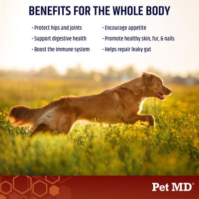 Show full view: Pet MD Gut Support & Joint Health Bone Broth Powder Dog Supplement, 4-oz jar slide 4 of 9