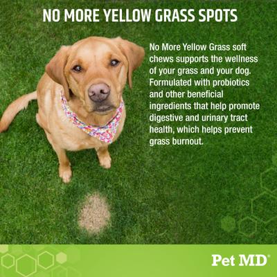 Show full view: Pet MD Lawn Urine Neutralizer Chews Dog Supplement, 120 count slide 4 of 8