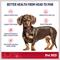 Show in main carousel: Pet MD Omega 3-6-9 Select Soft Chews with Krill Dog Supplement, 60 count slide 7 of 8