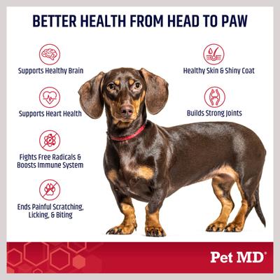 Show full view: Pet MD Omega 3-6-9 Select Soft Chews with Krill Dog Supplement, 60 count slide 7 of 8