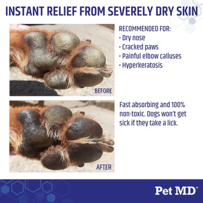 Show full view: Pet MD Paw Balm 3-in-1 Nose/Snout & Elbow Moisturizer & Paw Protectors Paw Wax with Shea Butter, Coconut Oil, & Beeswax for Dogs, 2-fl oz jar slide 4 of 8
