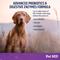 Show in main carousel: Pet MD PB6 Probiotics & Enzymes Dog Supplement, 60 count slide 4 of 7