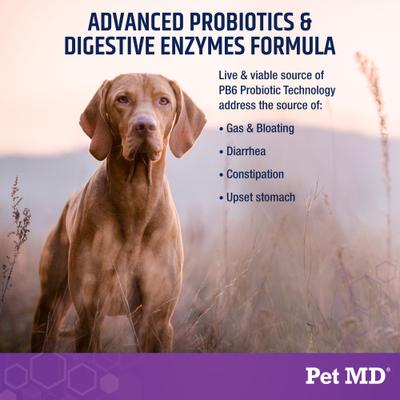 Show full view: Pet MD PB6 Probiotics & Enzymes Dog Supplement, 60 count slide 4 of 7