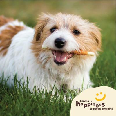 Show full view: Pet 'n Shape All-Natural Chicken Hide Twists Dog Treats, 16-oz bag slide 6 of 10