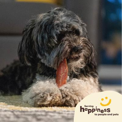 Show full view: Pet 'n Shape Chik 'n Breast Dog Treats, 2-lb bag slide 7 of 10