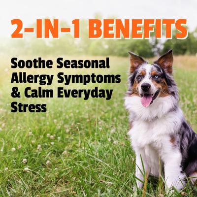 Show full view: Pet Naturals Allergy Plus Calming Duck Flavored Soft Chew Supplement for Dogs, 60 count slide 7 of 9