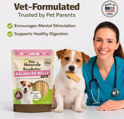 Pet Naturals BusyButter Balanced Belly Pumpkin & Probiotic Peanut Butter Flavored Dog Chews, Small, 22 count slide 2 of 9