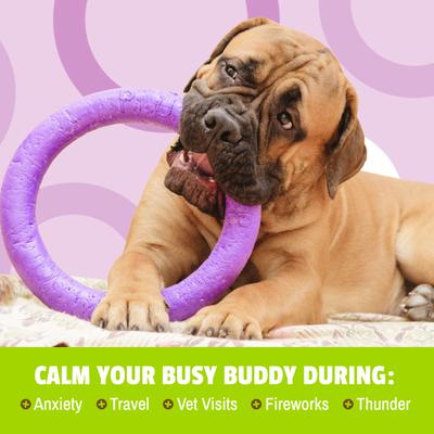 Show full view: Pet Naturals BusyButter Extra Strength Peanut Butter Flavored Paste Calming Supplement for Dogs, 6-oz pouch slide 7 of 11