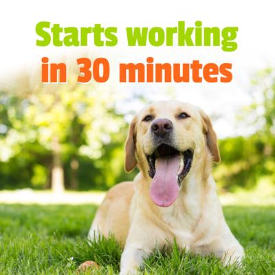 Show full view: Pet Naturals BusyButter Extra Strength Peanut Butter Flavored Paste Calming Supplement for Dogs, 6-oz pouch slide 8 of 11