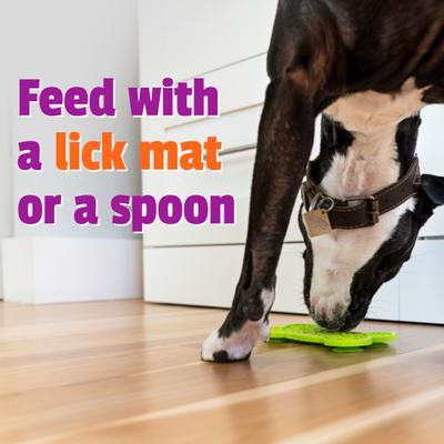 Show full view: Pet Naturals BusyButter Extra Strength Peanut Butter Flavored Paste Calming Supplement for Dogs, 6-oz pouch slide 9 of 11