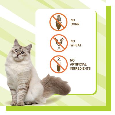 Show full view: Pet Naturals Calming Cat Chews, 30 count slide 9 of 12