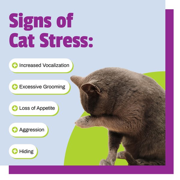 Show full view: Pet Naturals Calming Cat Chews, 30 count slide 3 of 11