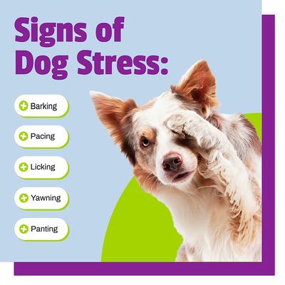 Show full view: Pet Naturals Calming Dog Chews, 30 count slide 3 of 11