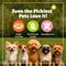 Show in main carousel: Pet Naturals Daily Probiotic Duck Flavored Chews Digestive & Gut Health Supplement for All Breeds Dogs, 160 count slide 9 of 11