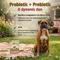 Show in main carousel: Pet Naturals Daily Probiotic Duck Flavored Chews Digestive & Gut Health Supplement for All Breeds Dogs, 160 count slide 7 of 11
